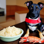 Can Dogs Eat Crab Meat
